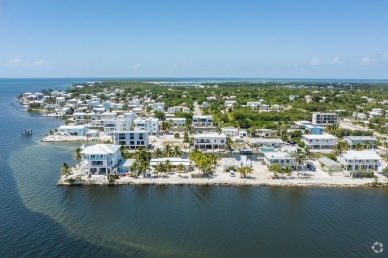 Lakefront Property Clearing