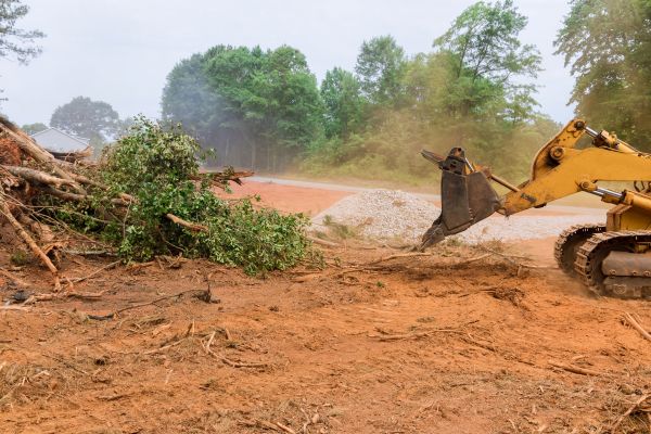 Cost of Ground Clearing in Danbury