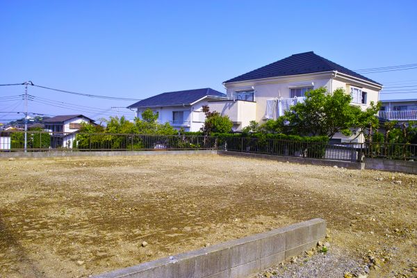 Cost of Lot Clearing Service in Danbury