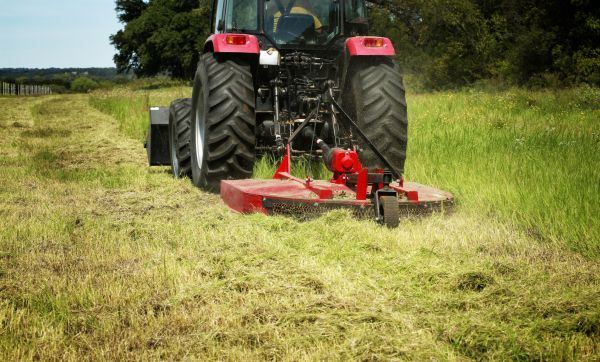Cost of Brush Clearing Service in Danbury