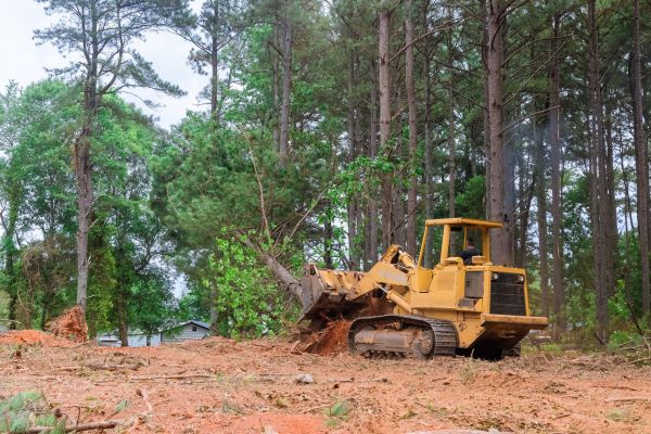 Cost of Property Clearing in Danbury