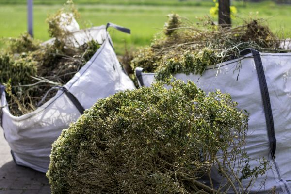Cost of Bushes Clearing in Danbury